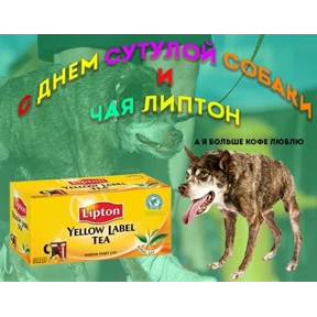гламурная жизнь — стикер для MAX