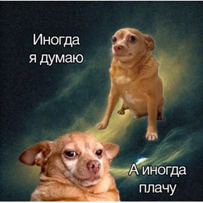 гламурная жизнь — стикер для MAX