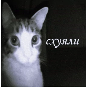 Сашин эксклюзивный — стикер для MAX