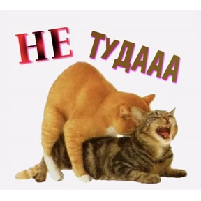 Мои стикеры 2 — стикер для MAX