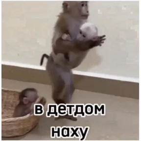 Мои стикеры 2 — стикер для MAX