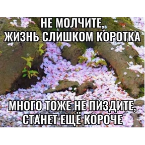 Викулька писюлька — стикер для MAX