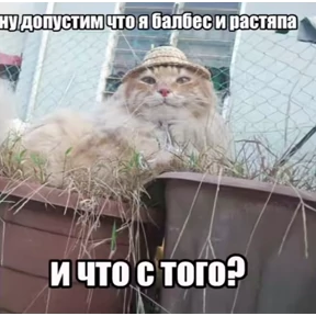 Викулька писюлька — стикер для MAX