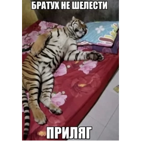 Викулька писюлька — стикер для MAX