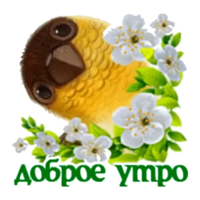 Доброе утро — стикер для MAX