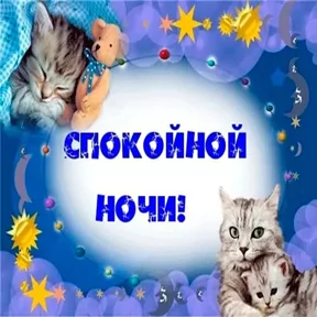 Стикер из сообщения канала