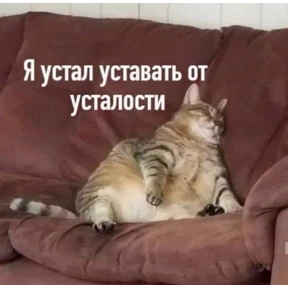 Стикеры 5 — стикер для MAX
