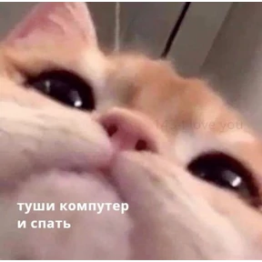 Айришкис — стикер для MAX