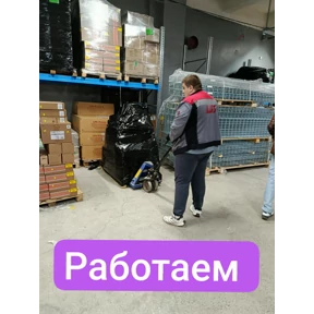 Луйсик — стикер для MAX
