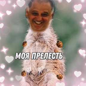 РОХЛОВ — стикер для MAX