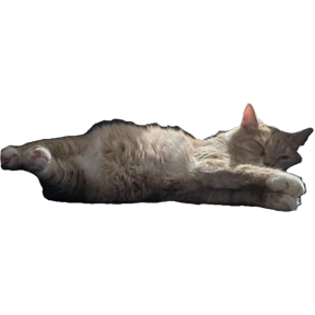 Рыжий — стикер для MAX