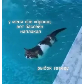 Даби-дуби — стикер для MAX