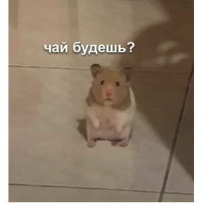ах ты крыса — стикер для MAX