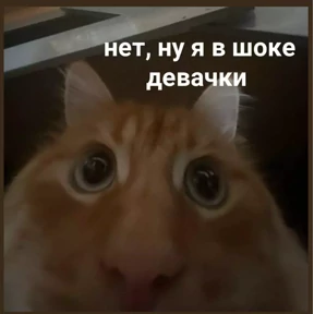 Стики — стикер для MAX