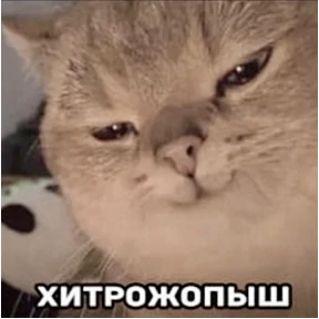 Мемасики — стикер для MAX