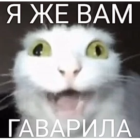 Мемасики — стикер для MAX