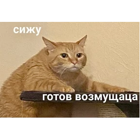 Мемасики — стикер для MAX