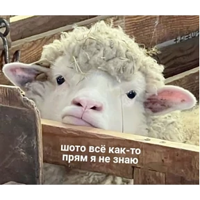 Мемасики — стикер для MAX