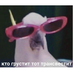 Мемасики — стикер для MAX