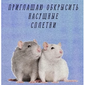 Мемасики — стикер для MAX