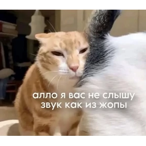 Мемасики — стикер для MAX