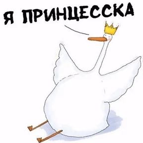 Гусь — стикер для MAX