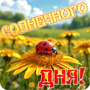 ЛЕПОТА от Ольги Корниенко — стикер для MAX