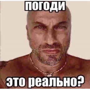 наши слоняры — стикер для MAX