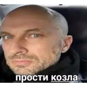 наши слоняры — стикер для MAX