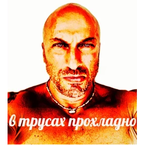 наши слоняры — стикер для MAX