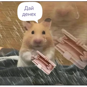 На случай вп 2.0 — стикер для MAX