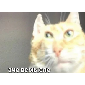 На случай важных переговоров — стикер для MAX