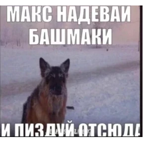 На случай важных переговоров — стикер для MAX