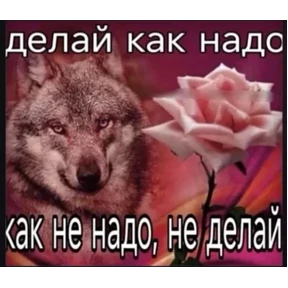 На случай важных переговоров — стикер для MAX