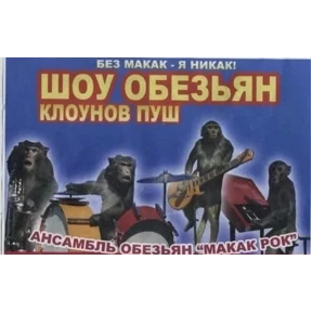 Обезьяны — стикер для MAX