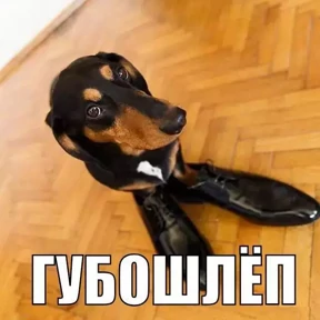 Для родных — стикер для MAX
