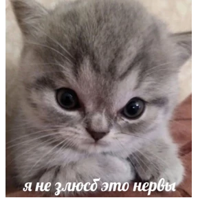 Для родных — стикер для MAX