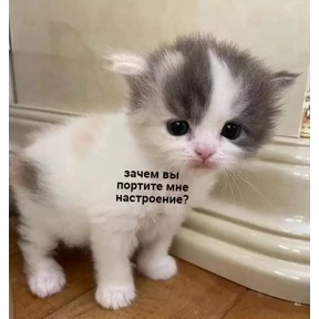 Для родных — стикер для MAX