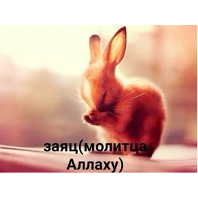 Для родных — стикер для MAX