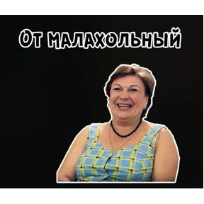 сваты — стикер для MAX