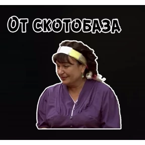 сваты — стикер для MAX