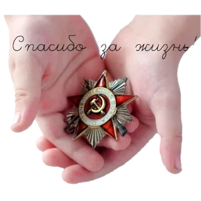 С Днём Победы! — стикер для MAX
