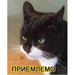 На все случаи 2 — стикер для MAX