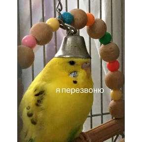 На случай важных переговоров — стикер для MAX