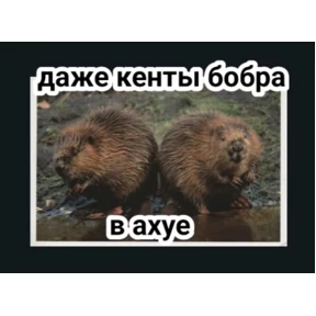 Почему — стикер для MAX