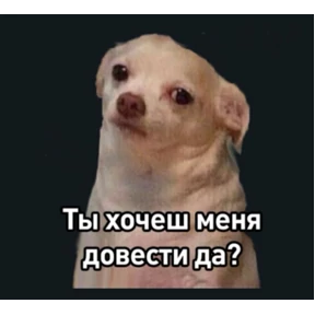 Почему — стикер для MAX