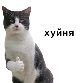 Треш — стикер для MAX