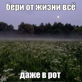 my personal brand of heroin — стикер для MAX