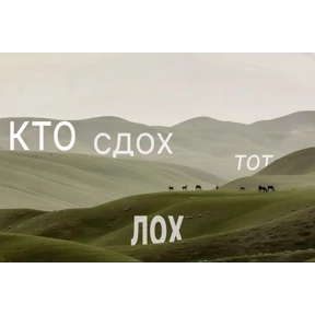 work — стикер для MAX