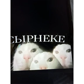 Дочь берёзови и мама берёзови — стикер для MAX